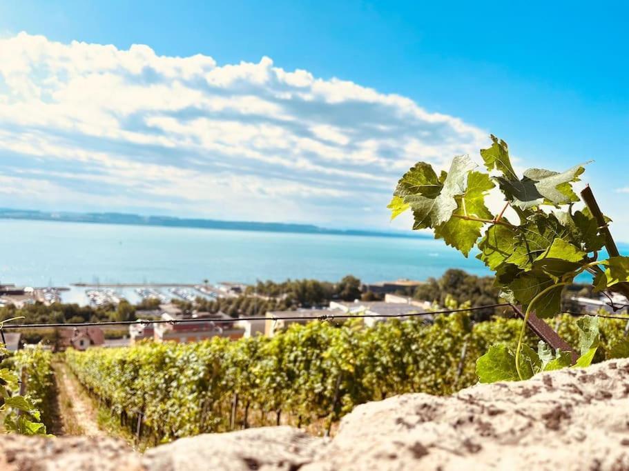 Charmant Appartement De Vacances Alta Ripa Hauterive  Экстерьер фото